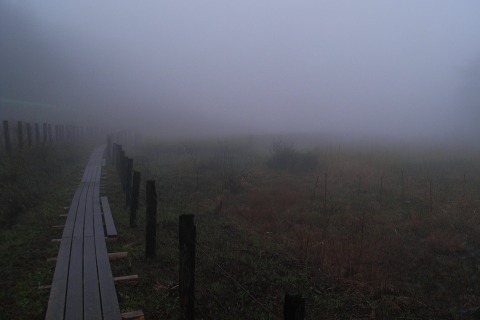 foggy_004