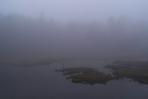 foggy_005