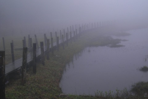 foggy_006